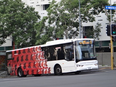 FBC6116 Citirider