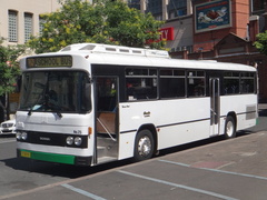Custom Coaches