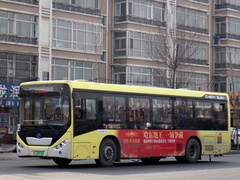 WD6105BEV11