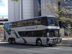 Landseer DD