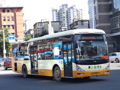 GZ6115SV1