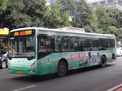 GZ6120SV1