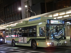 LNG-HU8JMGP Blue Ribbon City Hybrid
