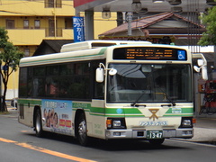 PDG-KV234L2 Blue Ribbon II