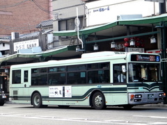 PJ-KV234N1 Blue Ribbon II