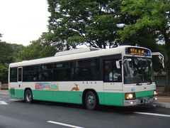 PKG-KV234Q2 Blue Ribbon II
