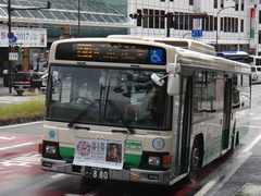 QPG-KV234N3 Blue Ribbon II