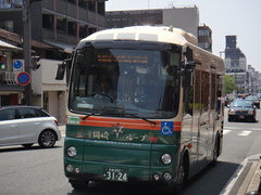 SDG-HX9JLBE Poncho