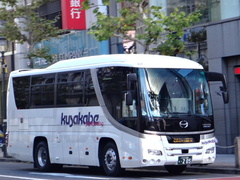 SDG-RU8JHBA S'elega HD-S