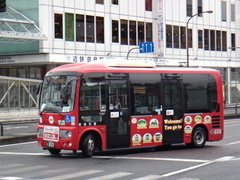 SKG-HX9JLBE Poncho