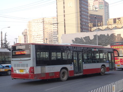 DD6129S06