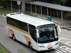 LT134P