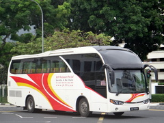 LT434P