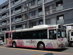 PJ-LV234N1 Erga