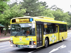 QQG-LV234N3 Erga Hybrid