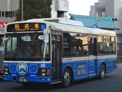 SKG-LR290J1 Erga Mio
