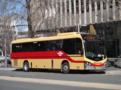 Delta