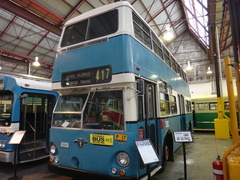 Atlantean