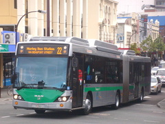 NG313F Lion's City G