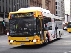 NL232