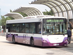 NL273