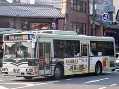 PDG-AA273MAN Aero Star S