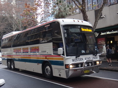 Cummins M11