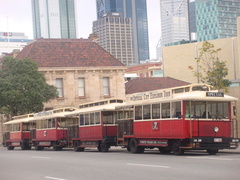 CMF87