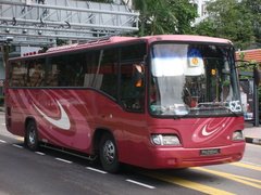 JP251LS