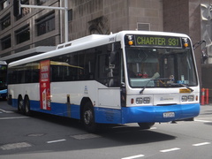 L113TRBL