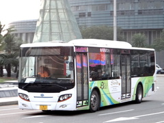 FDG6113EVG