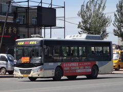 ZGT6109NS