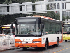ZK6100HGV