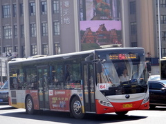 ZK6105CHEVPG1