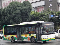 ZK6105HNG2