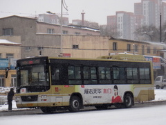 ZK6110NG5