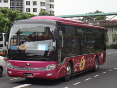 ZK6116HE