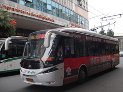 ZK6120BEVG1