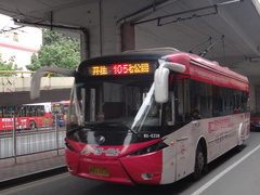 ZK6120BEVG2