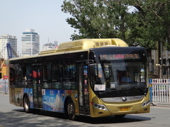 ZK6120CHEVG1