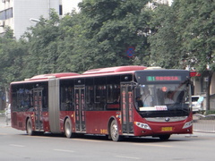 ZK6180CHEVG1