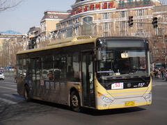 LCK6108EVG12 Fashion