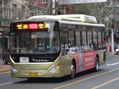 LCK6125HQGN Fashion